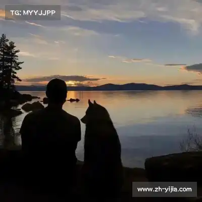 罗楚焱
